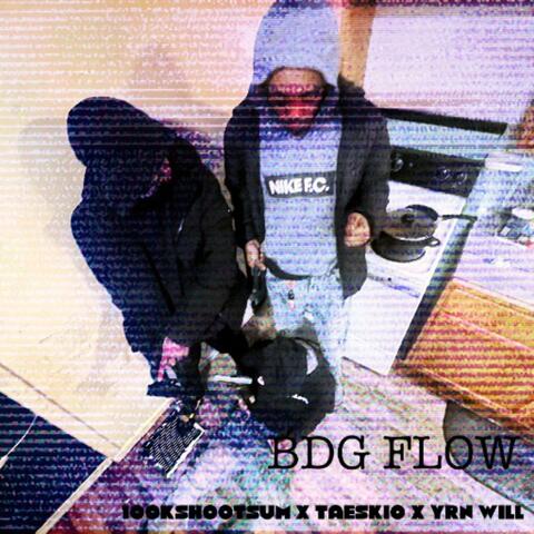 BDG FLOW