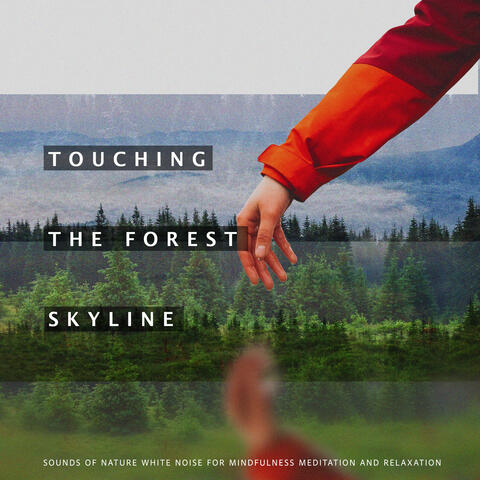 Touching the Forest Skyline