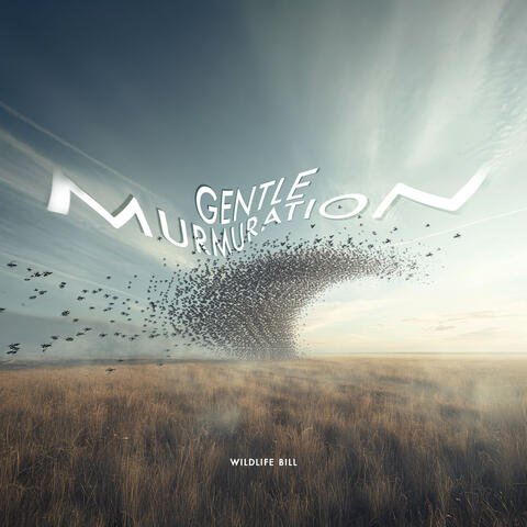 Gentle Murmuration