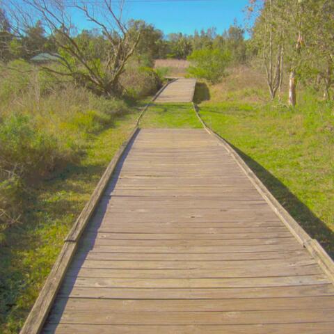 POINT TO PERSPECTIVE