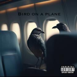 Bird On A Plane