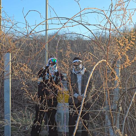 What Would Mamba Do?