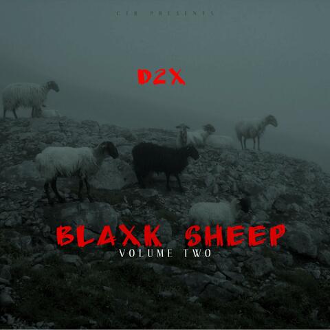Blaxk Sheep 2