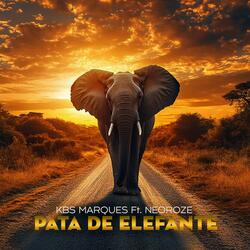 Pata de Elefante