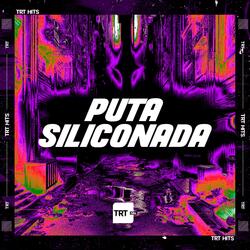 PUTA SILICONADA