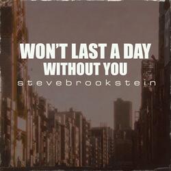 I Won't Last A Day Without You