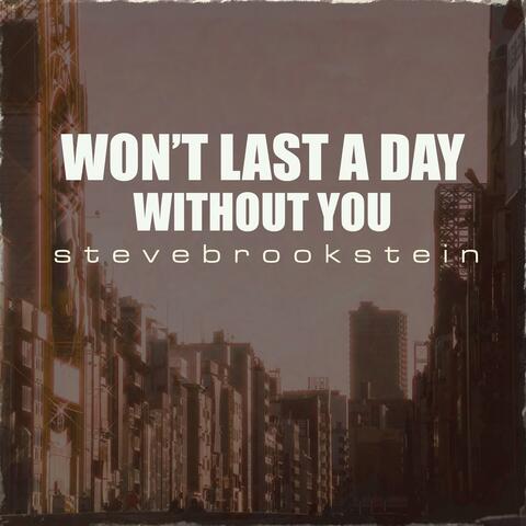 I Won't Last A Day Without You