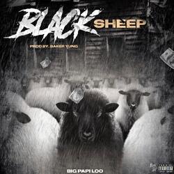 Black Sheep
