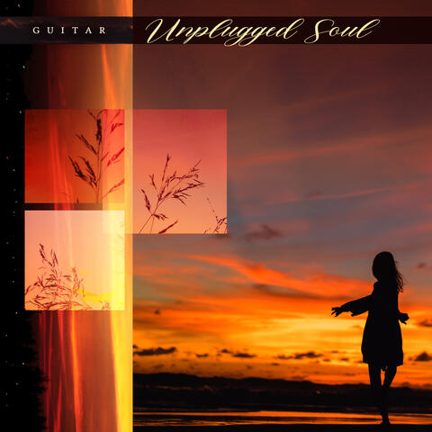 Unplugged Soul