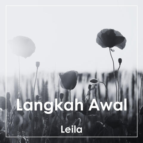Langkah Awal