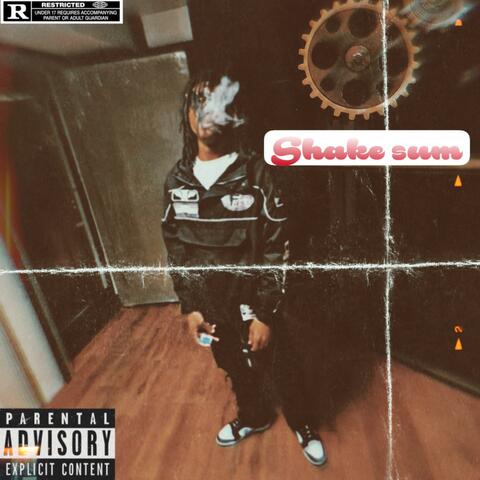 Shake Sum