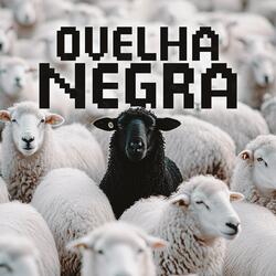 BLACK SHEEP