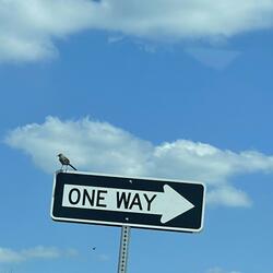 One Way