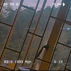 FkD