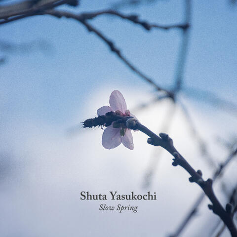 Slow Spring