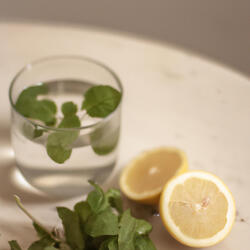 Mint and Lemon Afternoon