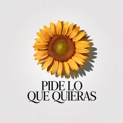 Pide lo que quieras