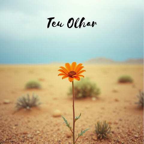Teu Olhar