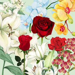 Flor, rosas ,lírios e orquídeas