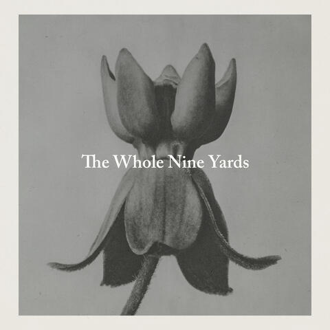 The Whole Nine Yards