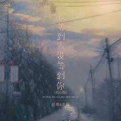 我等到雪没等到你