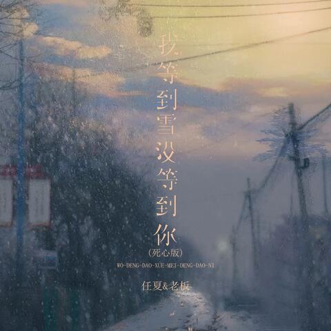 我等到雪没等到你