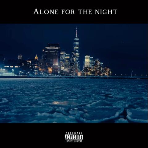 ALONE FOR THE NIGHT