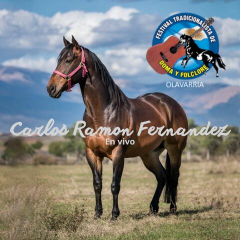 Carlos Ramon Fernandez