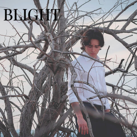 Blight