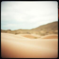 Elevating Dimensions