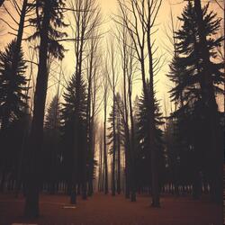 Harmony Among Trees