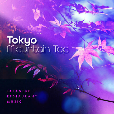 Tokyo Mountain Top