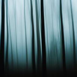Serene Motion