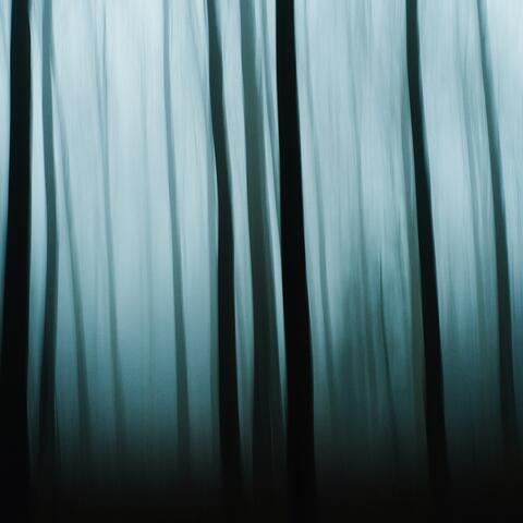 Serene Motion