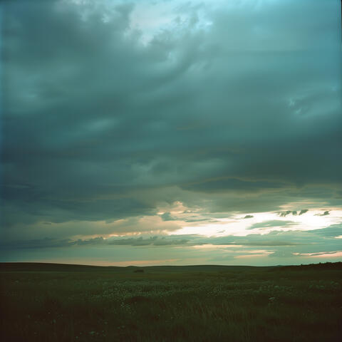 Echoes in the Darkened Sky