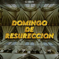 Domingo De Resureccion
