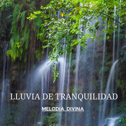 Lluvia de Tranquilidad