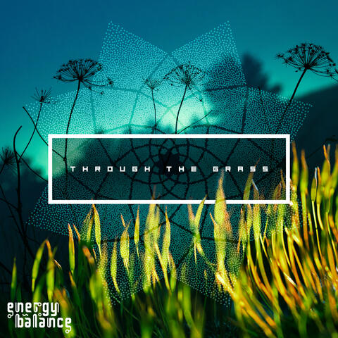 Through The Grass