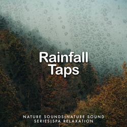 Rain Flowing in the Gutter