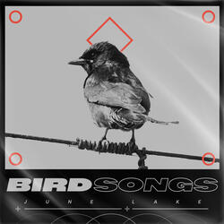 Bird Songs