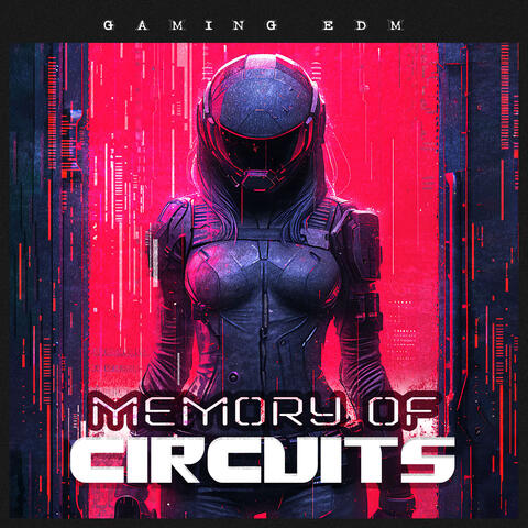 Memory of Circuits
