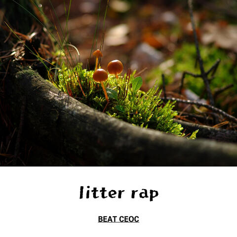 litter rap