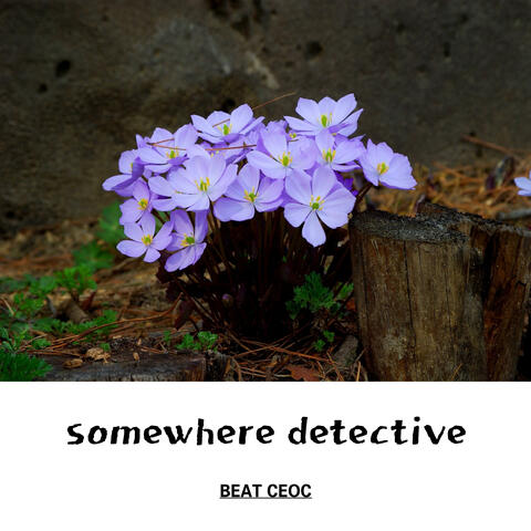 somewhere detective