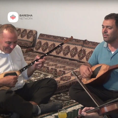 Ne qifteli kur knohet kanga