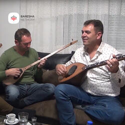 Shendrit dilli ne shpat e lugje