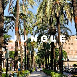 Jungle