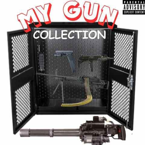 MY GUN COLLECTION