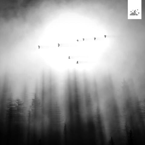 Call of The Forgotten