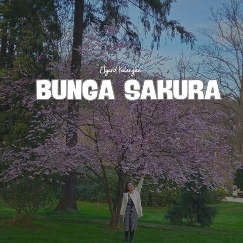 BUNGA SAKURA