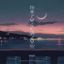 你来了又走心满了又空